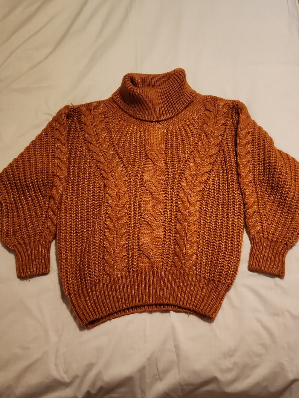 Chunky Cable Turtleneck Sweater in Rust